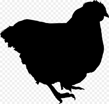 Chicken as food Broiler Portable Network Graphics Image -  