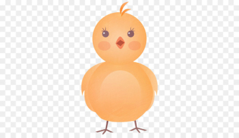 Chicken Cartoon Clip art - Chick pictures Chicken Cartoon Clip art - Chick pictures