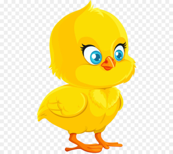 Chicken Cartoon Royalty-free Drawing - Yellow chick Chicken Cartoon Royalty-free Drawing - Yellow chick