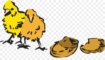 Chicken Clip art stock.xchng Broiler Egg - chicken 
