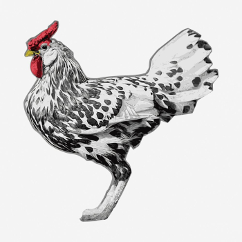 Chicken clipart, farm animal vintage | Free Vector - rawpixel Chicken clipart, farm animal vintage | Free Vector - rawpixel