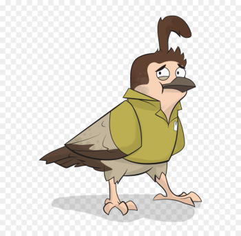 Chicken Cygnini Goose Duck Illustration - chicken Chicken Cygnini Goose Duck Illustration - chicken