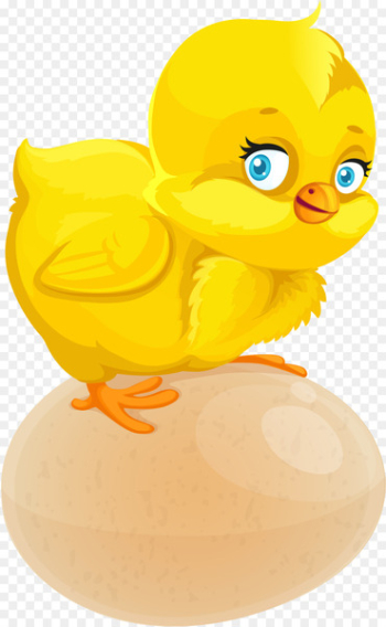 Chicken Drawing Animation Cartoon - easter chick Chicken Drawing Animation Cartoon - easter chick