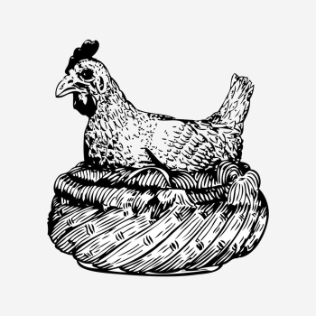 Chicken drawing, vintage animal illustration. | Free Photo - rawpixel Chicken drawing, vintage animal illustration. | Free Photo - rawpixel