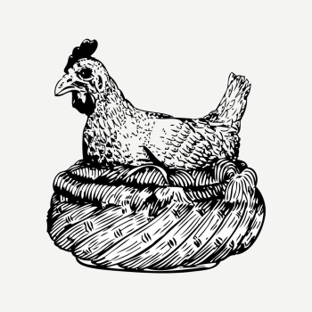 Chicken drawing, vintage animal illustration | Free PSD - rawpixel Chicken drawing, vintage animal illustration | Free PSD - rawpixel