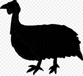 Chicken Ducks, Geese and Swans Cygnini Goose Bird - Chicken Ducks, Geese and Swans Cygnini Goose Bird -