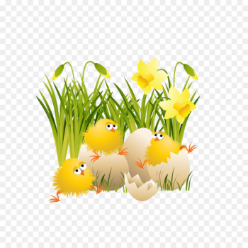Chicken Easter Clip art - chick Chicken Easter Clip art - chick