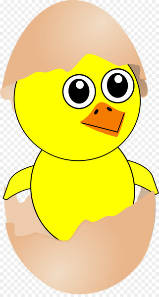 Chicken Egg Cartoon Drawing - Chick Cliparts Chicken Egg Cartoon Drawing - Chick Cliparts