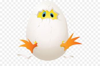 Chicken egg Chicken egg Clip art - Bigfoot chick broken egg out of egg 