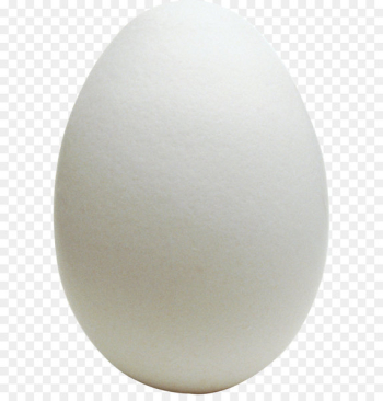 Chicken egg Chicken egg Omelette World Egg Day - Egg PNG image 