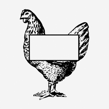 Chicken frame clipart, vintage animal | Free Photo - rawpixel Chicken frame clipart, vintage animal | Free Photo - rawpixel
