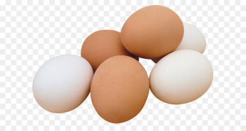 Chicken Fried egg Ham and eggs Scrambled eggs - chicken Chicken Fried egg Ham and eggs Scrambled eggs - chicken