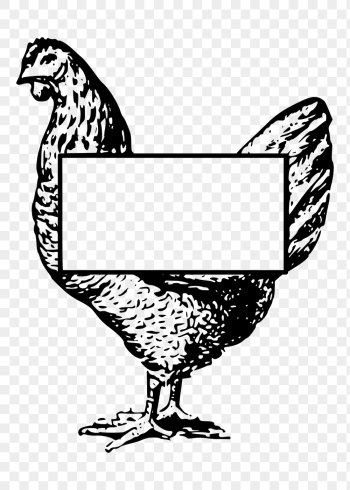 Chicken png frame, vintage animal | Free PNG - rawpixel Chicken png frame, vintage animal | Free PNG - rawpixel