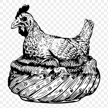 Chicken png sticker, vintage animal | Free PNG - rawpixel Chicken png sticker, vintage animal | Free PNG - rawpixel