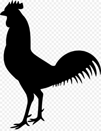 Chicken, Rooster, Poultry PNG Chicken, Rooster, Poultry PNG