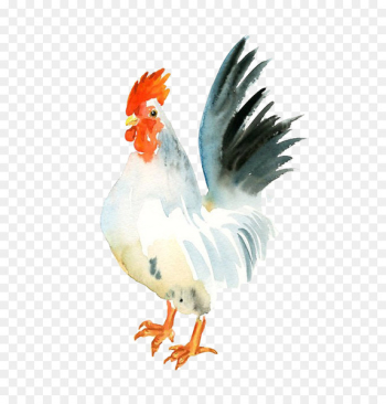 Chicken Watercolor painting Rooster Paper - Big white cock Chicken Watercolor painting Rooster Paper - Big white cock