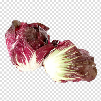 Chicory Cabbage Vegetable Kale Pao cai, Cabbage leaves transparent background PNG clipart