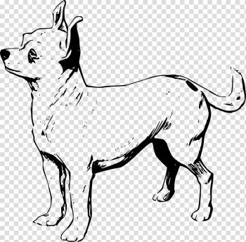 Chihuahua Puppy Line art Drawing , chihuahua transparent background PNG clipart Chihuahua Puppy Line art Drawing , chihuahua transparent background PNG clipart