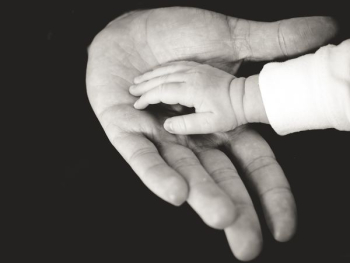 child and parent hands photography child and parent hands photography