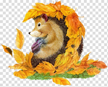 Child Autumn Verse Увлекательная логопедия: учимся анализировать и пересказывать : истории про Петьку, Сонечку, Гришу, всех остальных : для детей 5-7 лет Coloring book, child transparent background PNG clipart