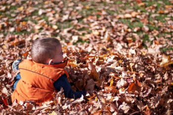 Child Playing In Fall Leaves Child Playing In Fall Leaves