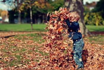 child playing with dried leaves child playing with dried leaves
