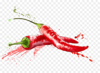 Chile de xe1rbol Birds eye chili Cayenne pepper Tabasco pepper Chili pepper - Painted background chili peppers 