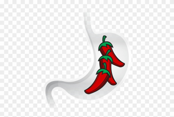 Chile Peppers Have Received A Bad Reputation For Causing - Illustration