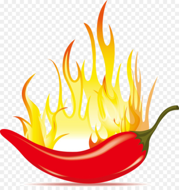 Chili con carne Chili pepper Clip art - Vector Pepper Chili con carne Chili pepper Clip art - Vector Pepper