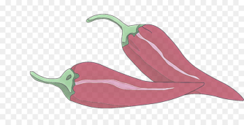 chili pepper bell peppers and chili peppers vegetable plant jalapeño chili pepper bell peppers and chili peppers vegetable plant jalapeño