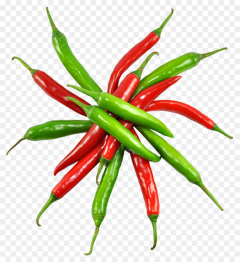 Chili pepper Chili con carne Birds eye chili Cayenne pepper Bell pepper - Red and Green Chilli 