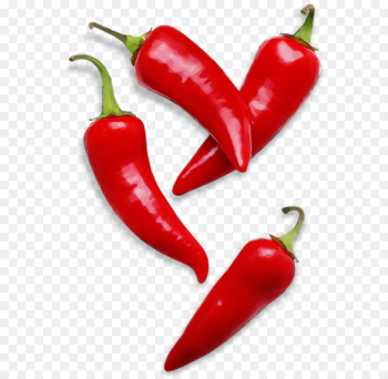 chili pepper serrano pepper tabasco pepper malagueta pepper bird's eye chili chili pepper serrano pepper tabasco pepper malagueta pepper bird's eye chili