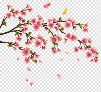 China Cherry blossom Tattoo Flower, China transparent background PNG clipart China Cherry blossom Tattoo Flower, China transparent background PNG clipart