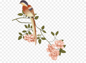 China Floral design Bird-and-flower painting Gongbi Chinese painting - Birds and Flowers 