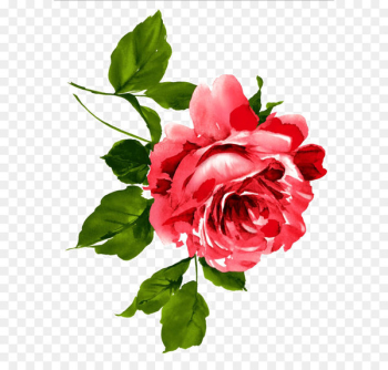 China Flower Peony Floral emblem Chinese - flowers China Flower Peony Floral emblem Chinese - flowers