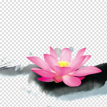China Lotus Cars Nelumbo nucifera Budaya Tionghoa Inkstick, Hand painted watercolor lotus transparent background PNG clipart