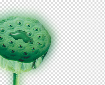 China Nelumbo nucifera Chinoiserie Budaya Tionghoa, Lotus leaf transparent background PNG clipart