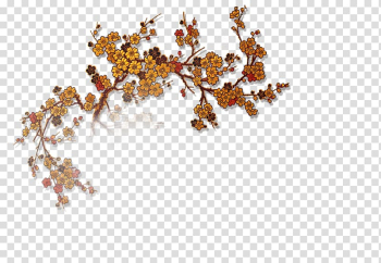 China Plum blossom , Plum flower transparent background PNG clipart China Plum blossom , Plum flower transparent background PNG clipart