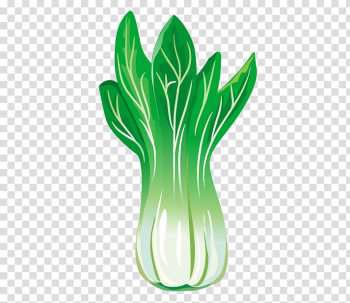 Chinese cabbage Leaf vegetable, Chinese cabbage transparent background PNG clipart Chinese cabbage Leaf vegetable, Chinese cabbage transparent background PNG clipart