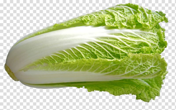 Chinese cuisine Chinese cabbage Vegetable Napa cabbage, cabbage transparent background PNG clipart