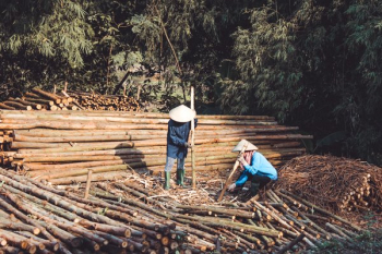 Chinese Lumber Workers Chinese Lumber Workers