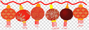 Chinese New Year Chinese New Year
