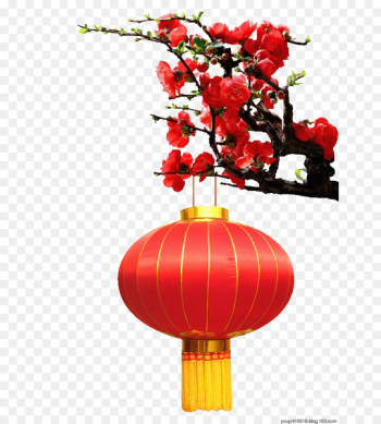 Chinese New Year Lantern Image Festival Vector graphics - big red 