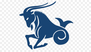 Chinese Zodiac Signs Capricorn Astrological sign Astrology - capricorn 