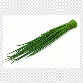 Chives Allium fistulosum Herb Vegetable Common sage, vegetable transparent background PNG clipart