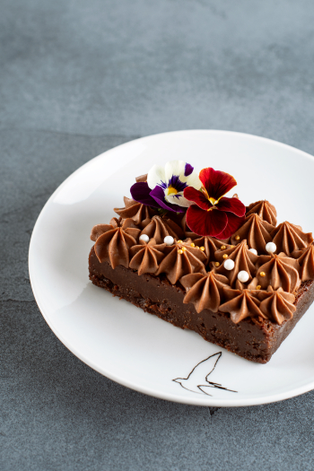 Chocolate Cake Chocolate Cake