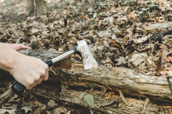 Chopping Wood In Forest Chopping Wood In Forest