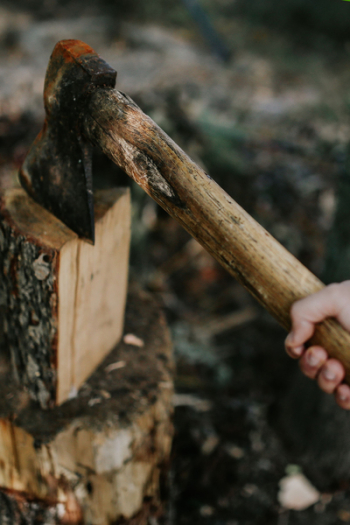 Chopping wood in the forest Chopping wood in the forest
