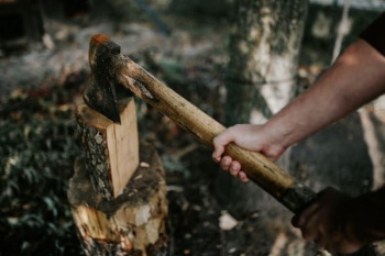 Chopping wood in the forest Chopping wood in the forest