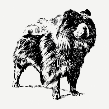 Chow Chow dog drawing, hand | Free PSD - rawpixel